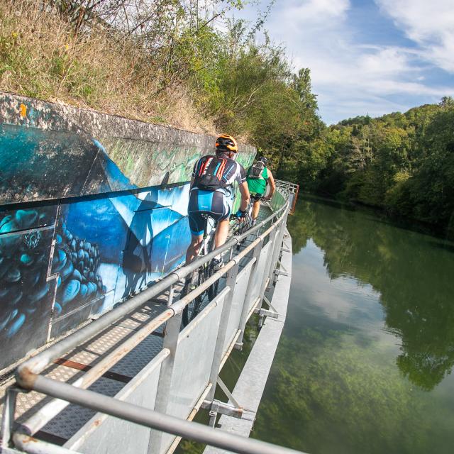 Vélo sur la voie verte