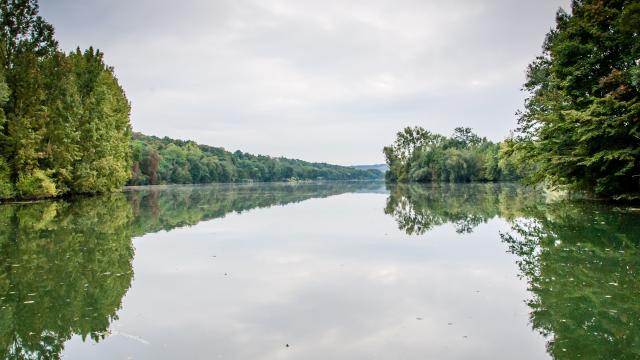 Vue depuis la Seine