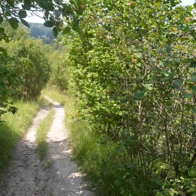 Chemin de randonnée sur les coteaux d'Heudebouville en Seine-Eure