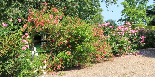 B52 Manoir De Senneville©l.launey Otse (3)