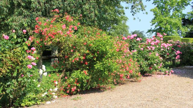 B52 Manoir De Senneville©l.launey Otse (3)