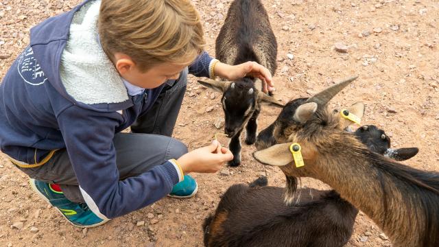 La ferme des enfants à Biotropica en Seine-Eure, Normandie