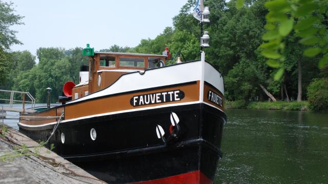 Le Fauvette