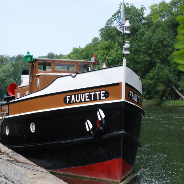 Le Fauvette