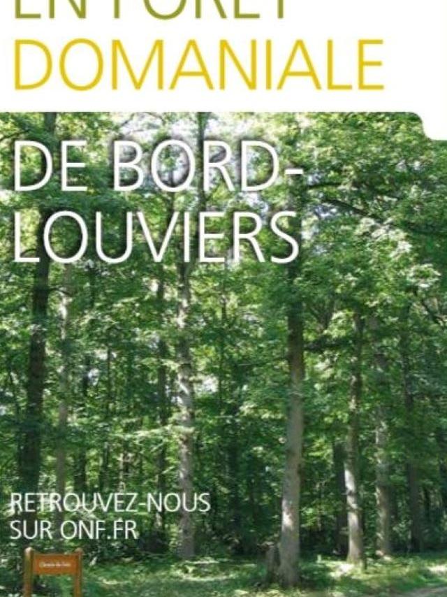 Foret De Bord Brochure