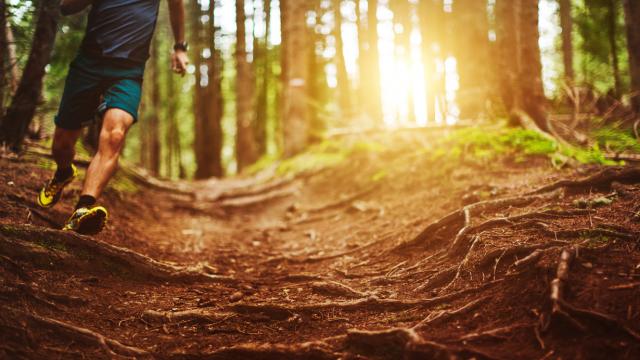 Man trail running in the forest