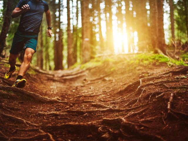 Man trail running in the forest