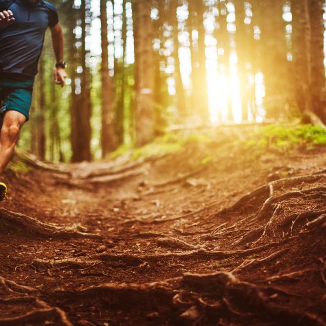 Man trail running in the forest