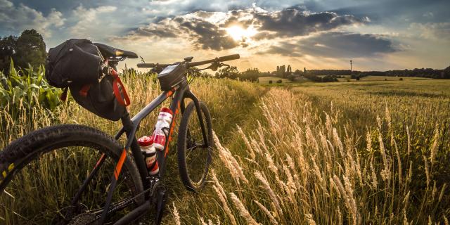 Vélo en pleine nature