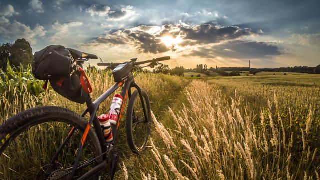 Vélo en pleine nature