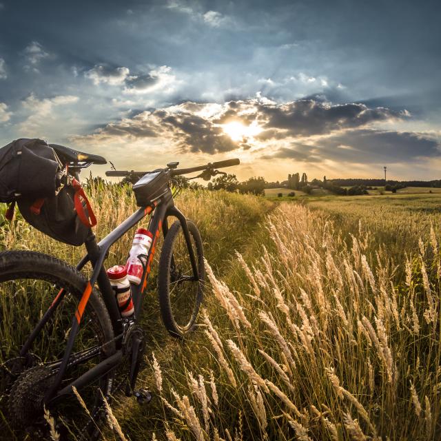 Vélo en pleine nature