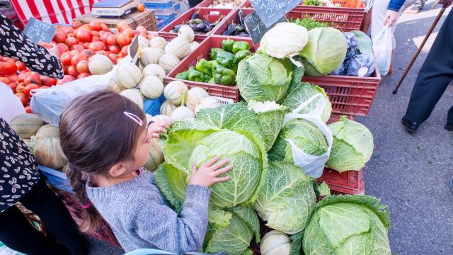 Jeune fille devant un étal de fruits et légumes au marché de Louviers en Normandie