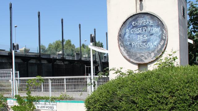 photo de l'entrée de l'observatoire à poissons de la seine en Normandie