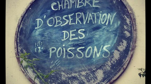 Panneau bleu signalisant l'entrée de la chambre d'observation des poissons de la seine en Normandie