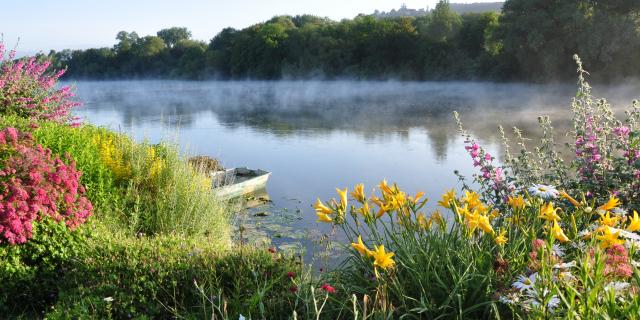 photo du bord de seine avec fleurs, nénuphars, arbres et brume du matin en Normandie