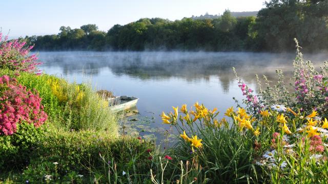 photo du bord de seine avec fleurs, nénuphars, arbres et brume du matin en Normandie