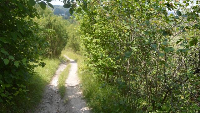 chemin de randonnée dans verdure de Normandie