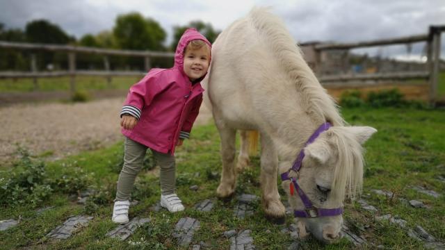 Enfant avec un poney lors d'une visite de la ferme anymania