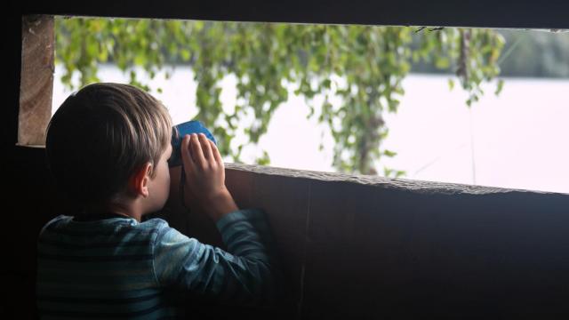 Enfant Observant Les Oiseaux à La Jumelle Depuis Un Observatoire De La Réserve Ornithologique De La Grande Noë à Poses dans l'Eure en Normandie