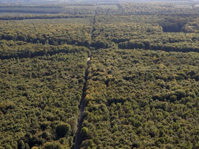 photo Aérienne De La Forêt De Bord en été entre Pont de l'Arche et Louviers dans l'Eure en Normandie