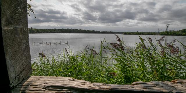 photo de la vue sur le lac de la réserve ornithologique de la grande noë prise depuis un observatoire, à Val-De-Reuil dans l'Eure en Normandie