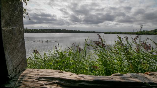 photo de la vue sur le lac de la réserve ornithologique de la grande noë prise depuis un observatoire, à Val-De-Reuil dans l'Eure en Normandie