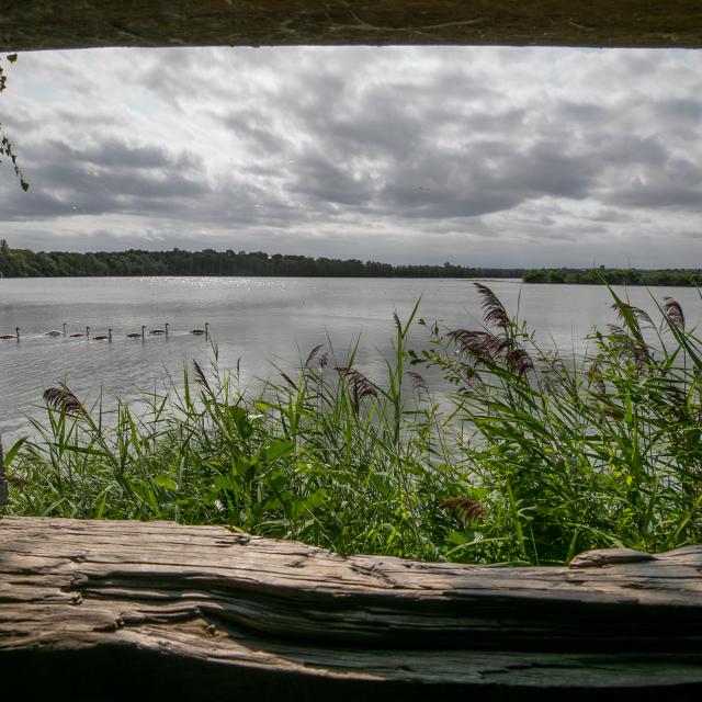 photo de la vue sur le lac de la réserve ornithologique de la grande noë prise depuis un observatoire, à Val-De-Reuil dans l'Eure en Normandie