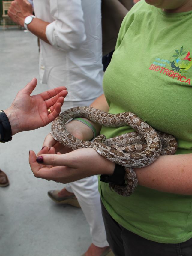 serpent du zoo biotropica