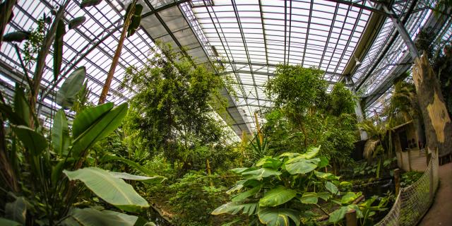 Serre tropicale de Biotropica au Parc Des Loisirs De Léry Poses En Normandie