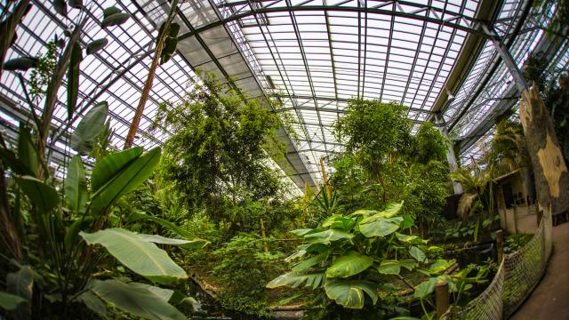 Serre tropicale de Biotropica au Parc Des Loisirs De Léry Poses En Normandie