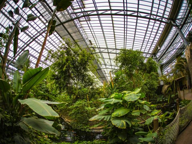 Serre tropicale de Biotropica au Parc Des Loisirs De Léry Poses En Normandie