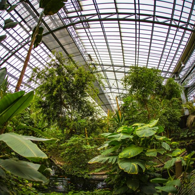 Serre tropicale de Biotropica au Parc Des Loisirs De Léry Poses En Normandie