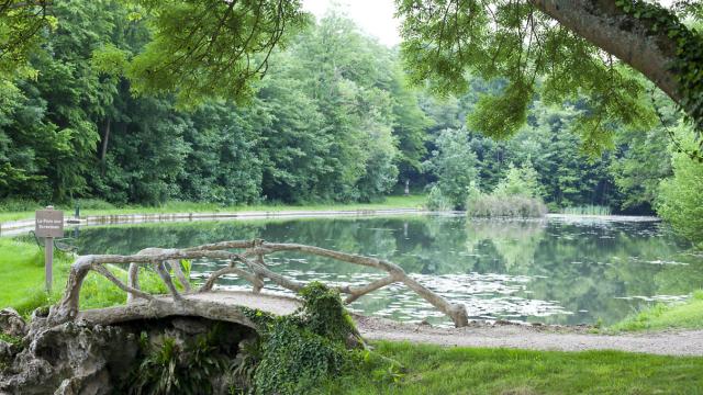 Petit pont sur la marre du Chateauform Les étangs De Saint Aubin