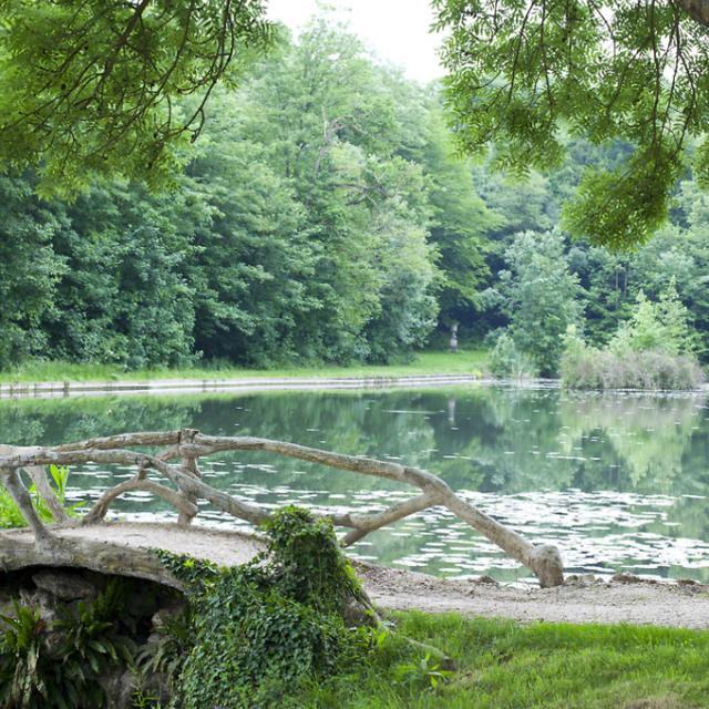 Petit pont sur la marre du Chateauform Les étangs De Saint Aubin