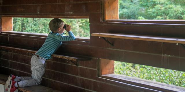 Enfant caché dans une cabane en bois qui observe avec une paire de jumelle les oiseaux de la réserve ornithologique de Poses - Eure