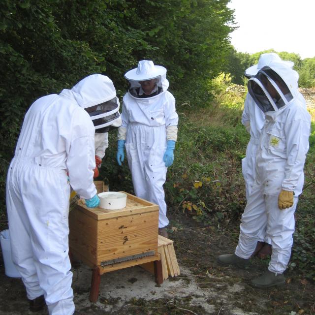 Cours D'apiculture©chateaudargeronne