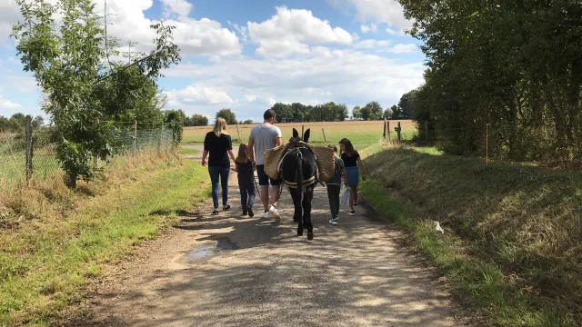 Randonnée Avec Les ânes