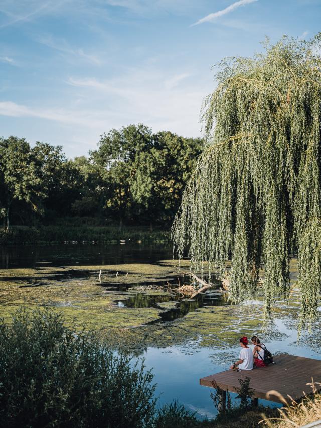 Berges à Pont-de-l'Arche