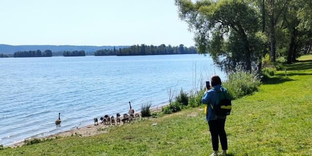 Sortie ornithologique au bord du lac des Deux Amants - Val-de-Reuil