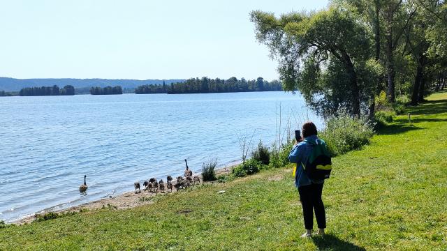 Sortie ornithologique au bord du lac des Deux Amants - Val-de-Reuil