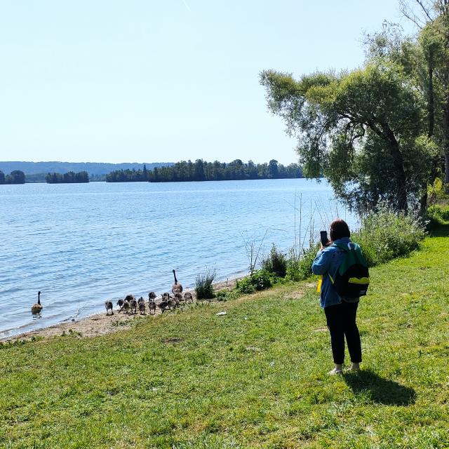 Sortie ornithologique au bord du lac des Deux Amants - Val-de-Reuil