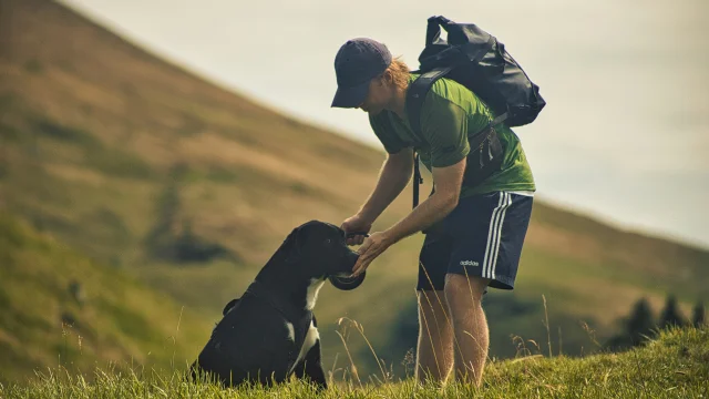 Rando avec chien