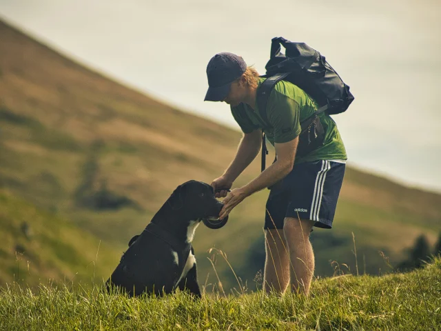 Rando avec chien