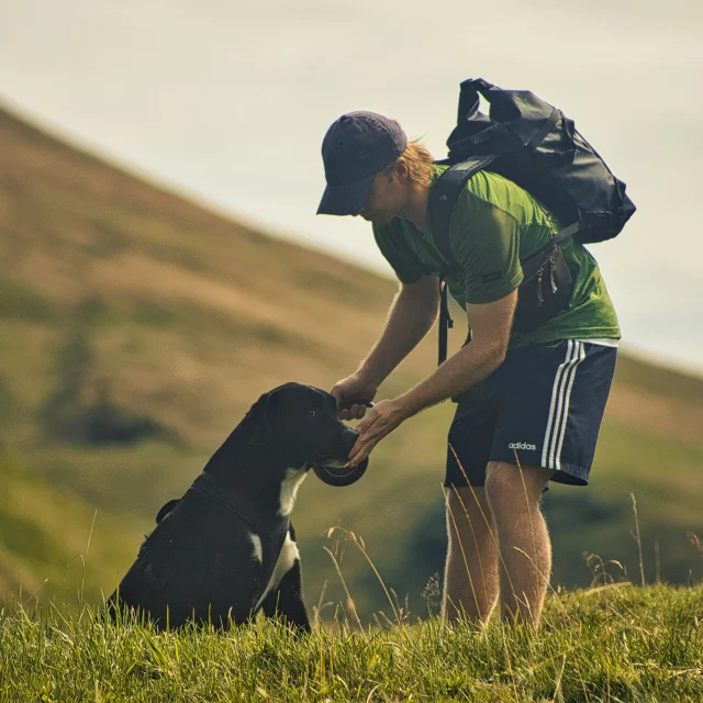 Rando avec chien