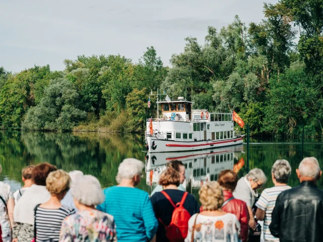 Guillaume le conquerant Croisiere